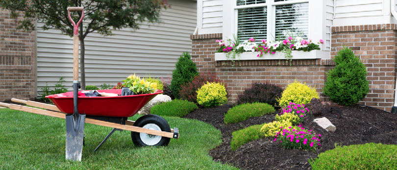 outdoor landscaping