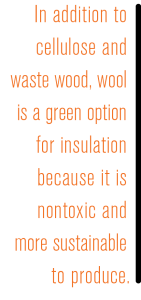 green insulation options