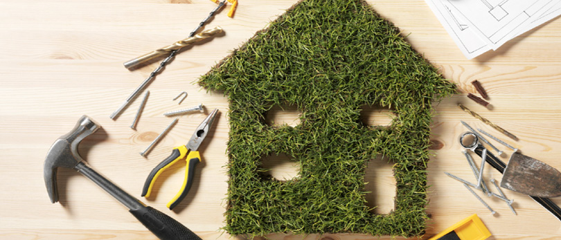 ivy covered home with tools beside it