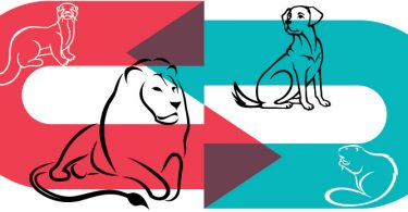 four animals representing DiSC personality types