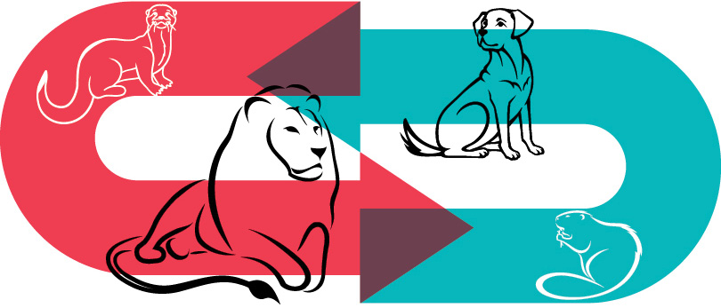 four animals representing DiSC personality types