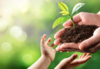 parent handing seedling to a child