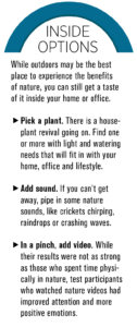 indoor nature ideas