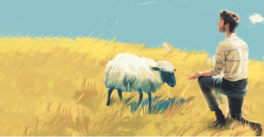 man with sheep