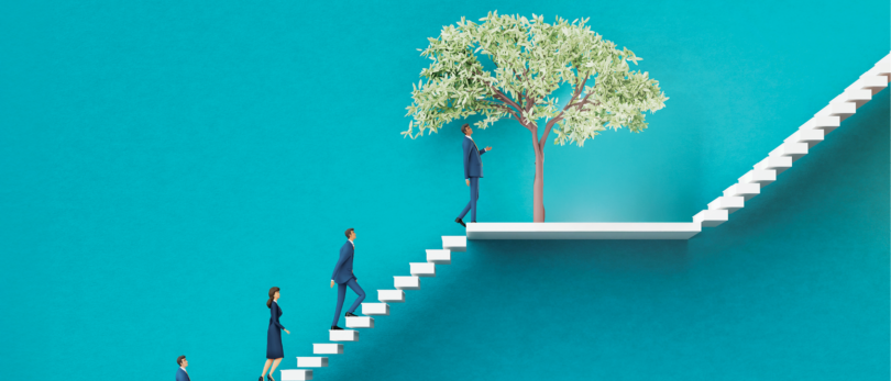 People walking up a white staircase with a tree on a landing in the middle