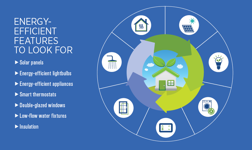 green home infographic