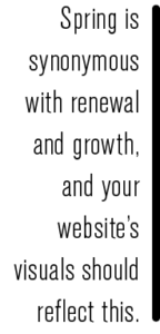 website cleaning callout