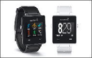 Garmin vivoactive 2 fmt